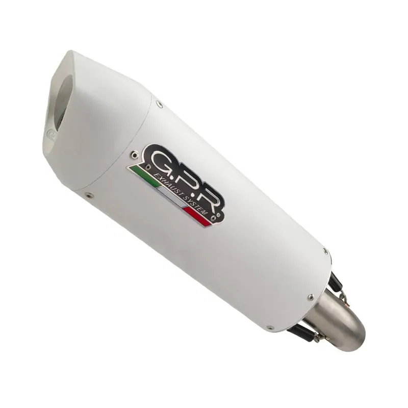 GPR Endschalldämpfer Kawasaki Z 900 E 2021/22 e5 EC-Approv. slip-on exhaust Albus Evo4 Sonderangebot