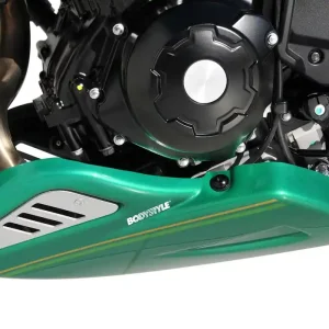 BODYSTYLE Sportsline Bugspoiler ABS Kunststoff grau für KAWASAKI Z650 RS Geprüft