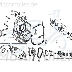 Zwischenrad Anlasser Zwischenzahnrad 742059 Ritzel Zwischenritzel Scooter Ersatzteil Service Inpektion Direktimport Sale