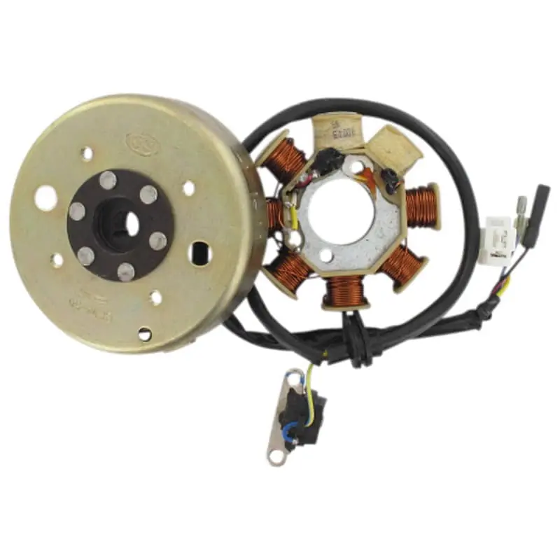 Begrenztes Angebot Rex Milano 50 Strom-Generator 50ccm 4Takt Stator Lichtmaschine 139QMB JSD50QT-13 50cc 4T 139QMA Ankerplatte Anker-Platte