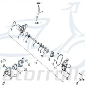 Schneller Versand Aeon Cobra 320 O-Ring Dichtring 320ccm 4Takt K19319-113-000 Gummidichtung Gummiring Oring Gummi-Ring Dicht-Ring Quad ATV UTV Ersatzteil