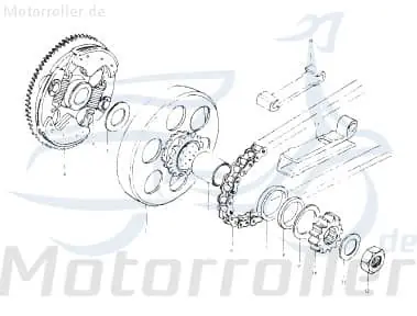 Echt Eppella Eppelino 50 Kickstarterritzel 50ccm 2Takt D1E41FM05--03 Kickstarter-Ritzel Kickstarter-Mitnehmer Kickstarterantriebsrad 1E40QMB