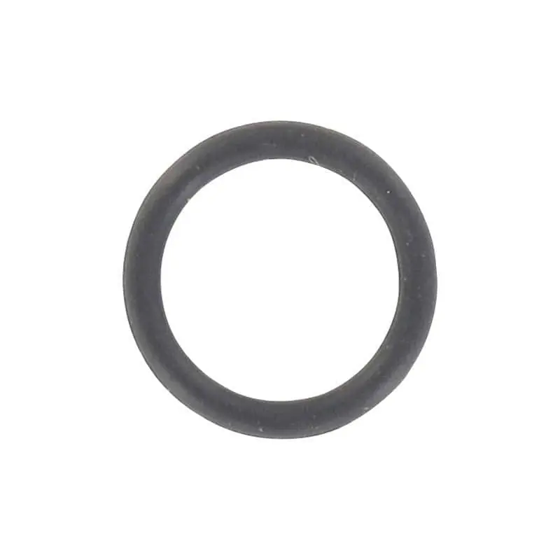 Echt Dichtring 9x1.5mm Modell REX RS450 - QM50QT-6 FIG ---