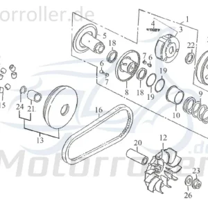 Abverkauf Kreidler F-Kart 170 Fliehkraftrollen 170ccm 4Takt 76009 Vario-Rollen Variomatik-Gewichte Variorollen Variogewichte Vario-Gewichte