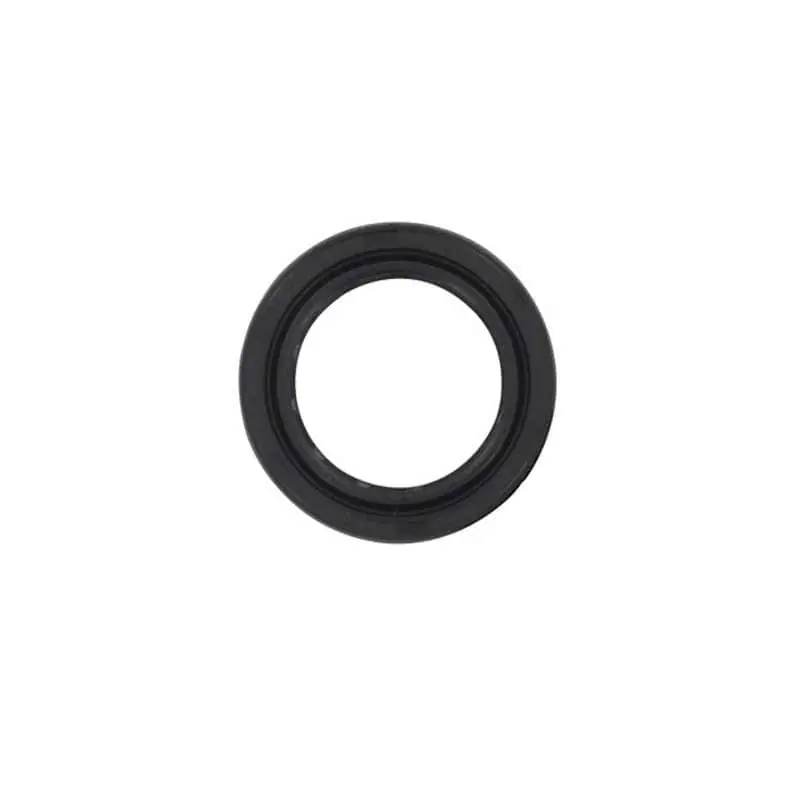 Rex 50 Simmerring Wellendichtring Dichtringe Roller 50ccm 2Takt 1E40QMB YY50QT-28 50cc 2T Minarelli liegend Simmering Kracherpreis
