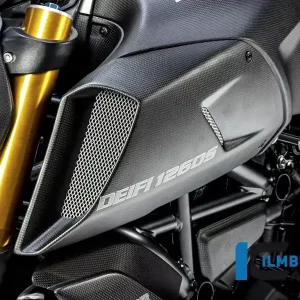Ilmberger Carbon Lufteinlasskanalverkleidung links matt passend für Ducati Diavel 1260 Neuheit