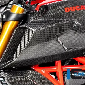 Ilmberger Carbon Lufteinlasskanalverkleidung links passend für Ducati Diavel 1260 Markenware