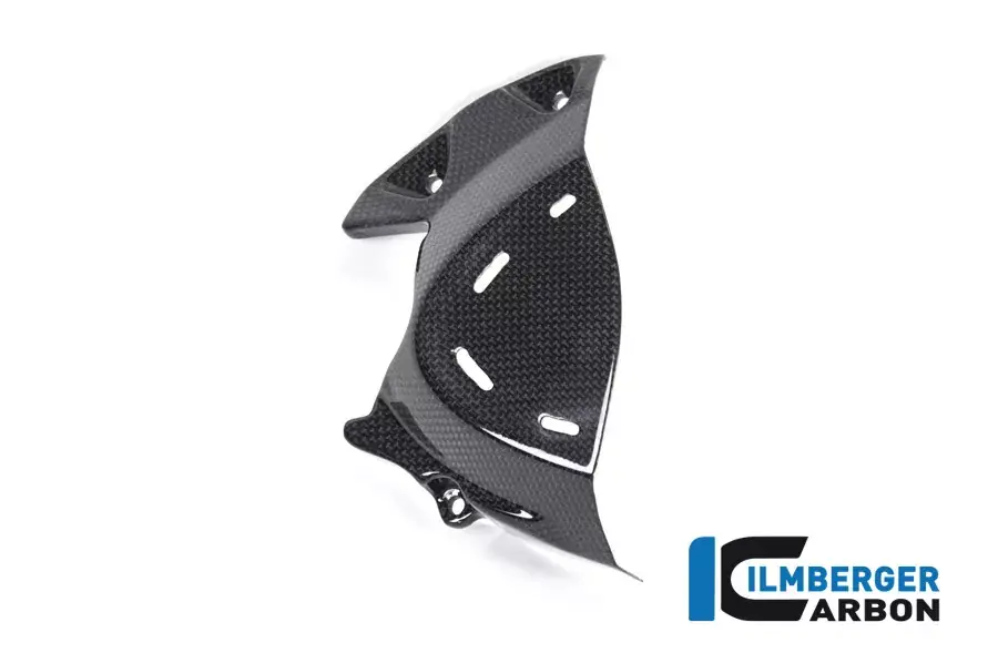 Meistverkauft Ilmberger Carbon Ritzelabdeckung passend für Ducati Monster 1200/1200S ab 2017