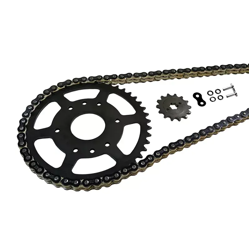 Abverkauf EK Chain Kettensatz 520 MVXZ-2 passend für Honda CRF300 L & CRF300 Rally