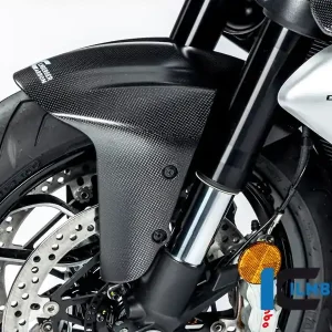 Ilmberger Carbon Kotflügel vorne matt passend für Ducati Diavel V4 Saisonangebot