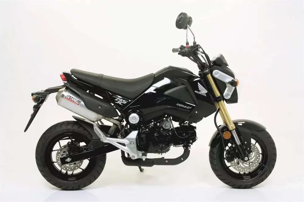 Giannelli Ipersport Slip-On Auspuff passend für Honda MSX 125 (2013-2015) Sonderaktion