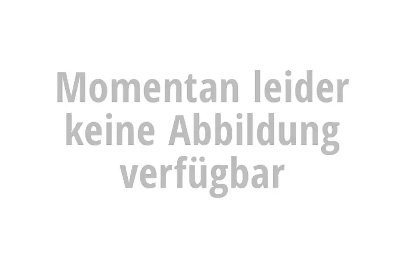 IXIL SX1 Carbonabdeckung eckig für Dämpferbox Expressversand