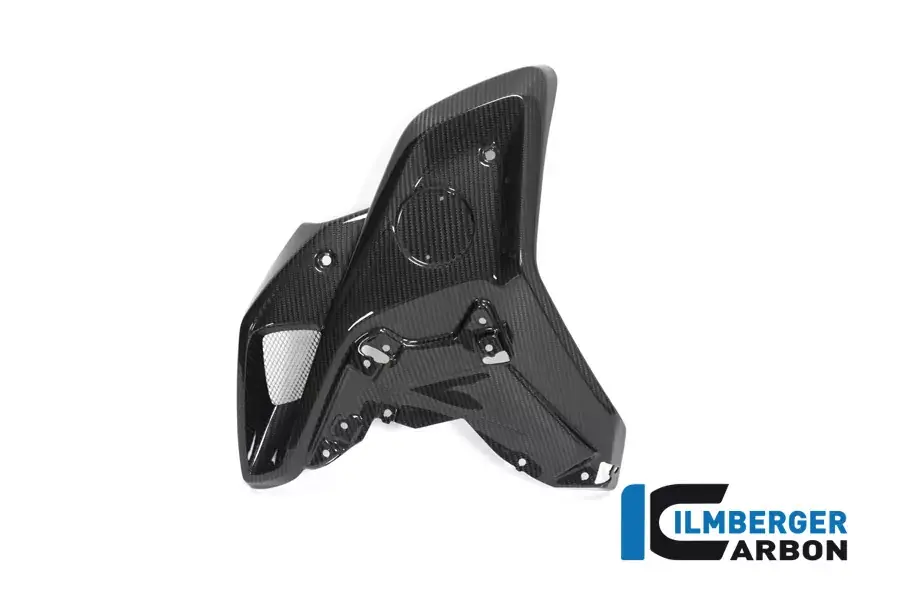 Super-Preis Ilmberger Carbon Windkanal links passend für BMW R1250GS ab 2019