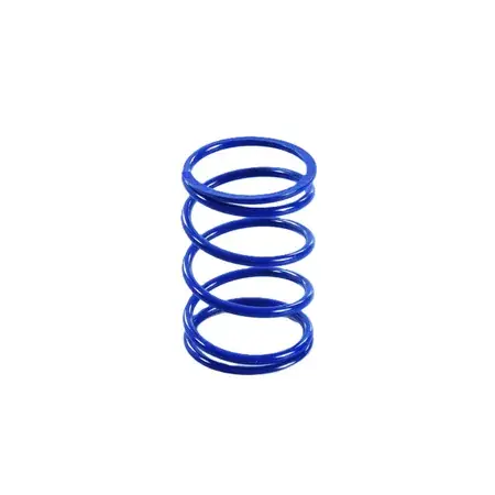 Highlight Gegendruckfeder Polini Evolution 4,8mm Piaggio