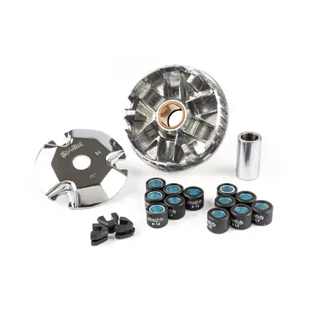 Variomatik Speed Control Polini, Honda Zoomer 50, 4-Takt Must-Have