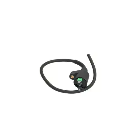 Zündspule Piaggio für Vespa LX /S/Primavera/Sprint 3V i.e. 125-150cc Zertifiziert