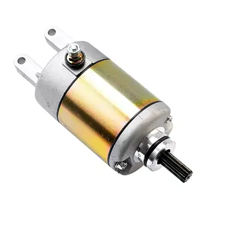 Expressversand Anlasser elektrisch Yamaha Xmax 250-400cc