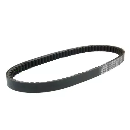 Finale Aktion Keilriemen Dayco Rex RS900 - 810-30-18