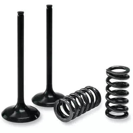 Auslassventil Set Prox mit Federn YZF 250 2014-2018 Top-Preis